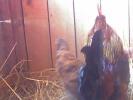 08-01-09_1447