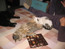 23 dec 2007 034