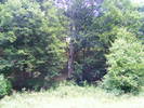 DSCF2545