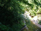DSCF5302
