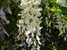 P1110886