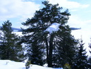 DSCF6961