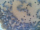 05012006