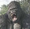 king_kong_movie_roar