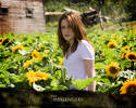 _Messengers_Wallpaper_2_1024