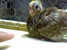 Picture 020