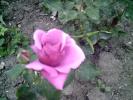 PICT0156(1)
