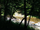DSCF5291