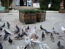 DSCN0154