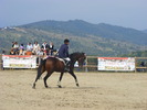 Picture 042