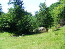 DSCF2523