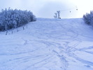DSCF6351