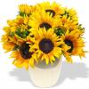 SunFlower02