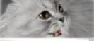 OIMTSMLAEUTXRTSQYGU