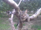 Imag072