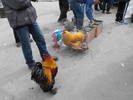 Picture 128