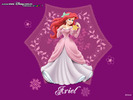 Ariel The Little Mermaid