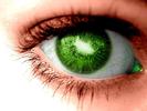 Eyes magic (45)