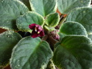 P1170125