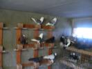 FILE0194