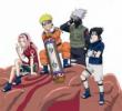Team 7