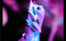 Colorful-Froggy