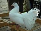 DSC00621