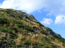 DSCF4485