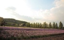 Planet Scenes 121