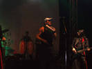 concert (15)