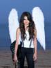 selenafan029