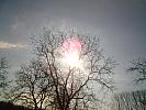 DSC00020