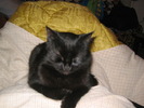 23 dec 2007 053