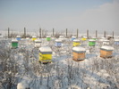 IMG_0021 (3)