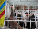 IMG_8628