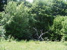 DSCF1068