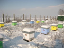 IMG_0034 (3)
