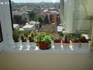 MINI COLECTIA...