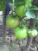 PICT0083