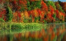 River_and_wood