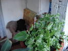 DSC09521