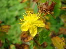 DSC00370
