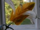 DSCF1725