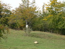 P1010891