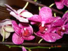 DSC02579