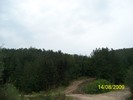 101_0464