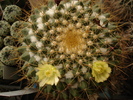 DSC05367