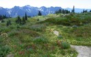 Planet Scenes 062