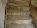DSC02361