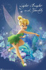 FP9068TinkerbellPosters[1]